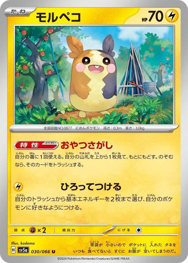 Morpeko 030 Normal