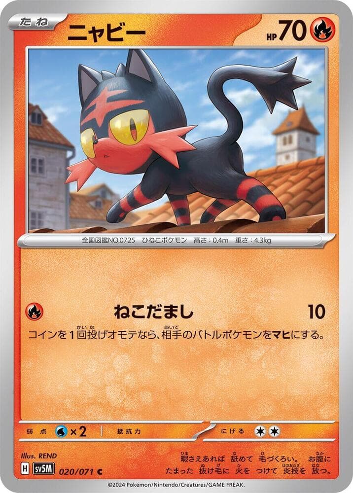 Litten 020 Normal