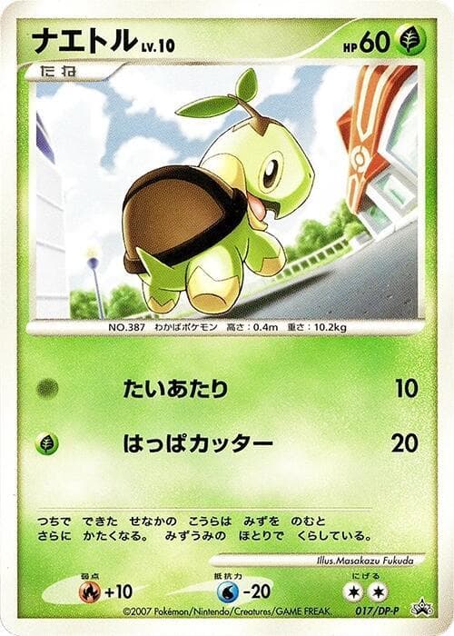 Turtwig 017 Normal