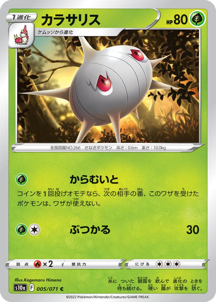 Silcoon 005