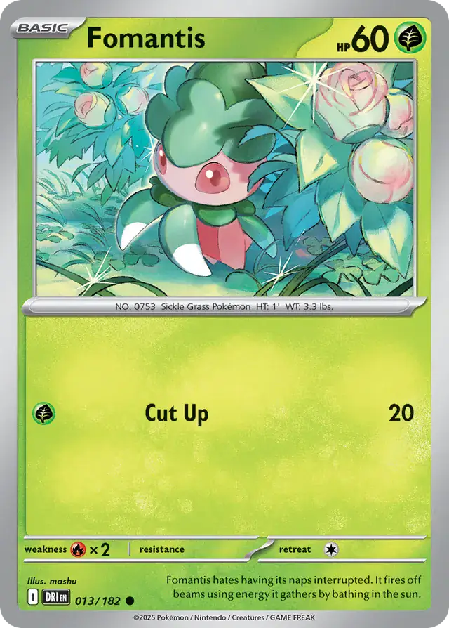 Fomantis 013