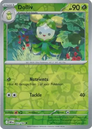 Dolliv Reverse Holo 022 Normal