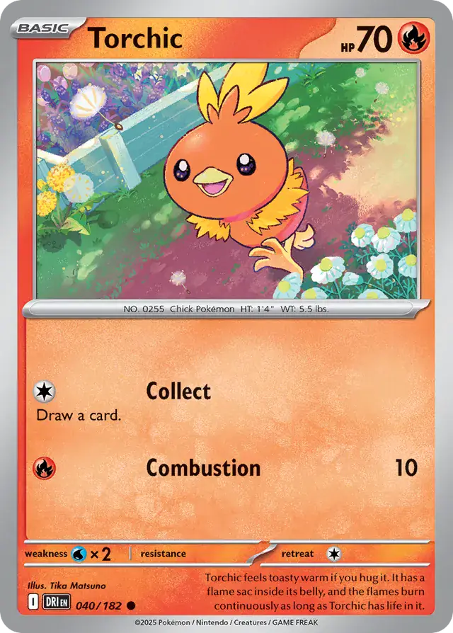 Torchic 040 Normal