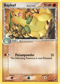 Bayleef 26