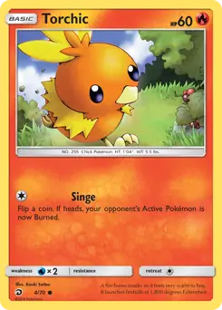 Torchic 4 Normal