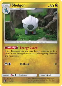 Shelgon 43 Normal