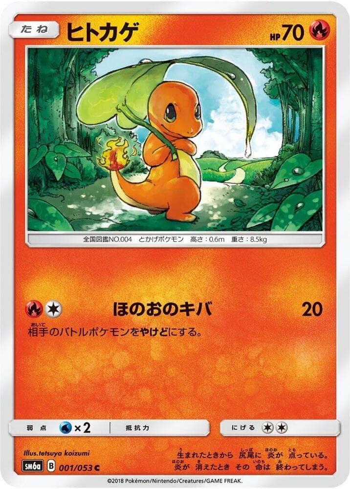 Charmander 001