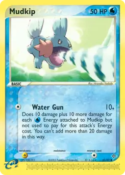 Mudkip 65 Normal