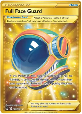Full Face Guard 231 Normal