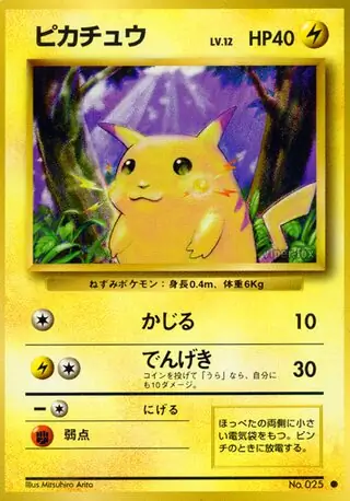 Pikachu 025