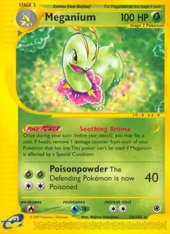 Meganium 54 Normal