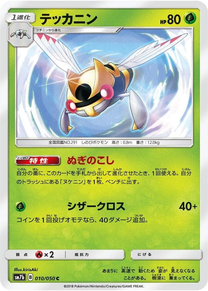 Ninjask 010