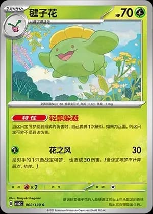 Skiploom 002 Normal