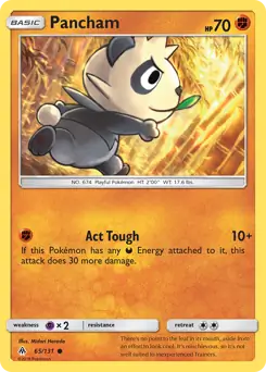 Pancham 65 Normal