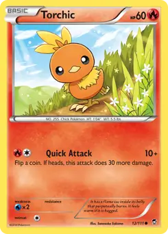 Torchic 12 Normal