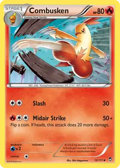 Combusken 13 Normal