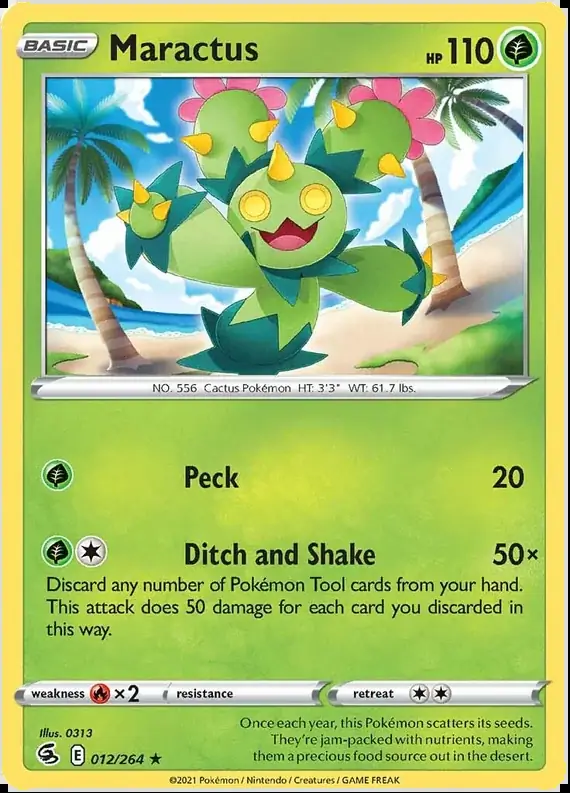 Maractus 012