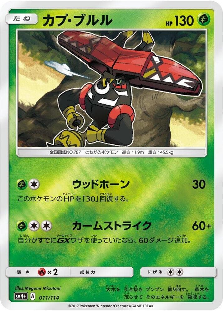 Tapu Bulu 011 Normal