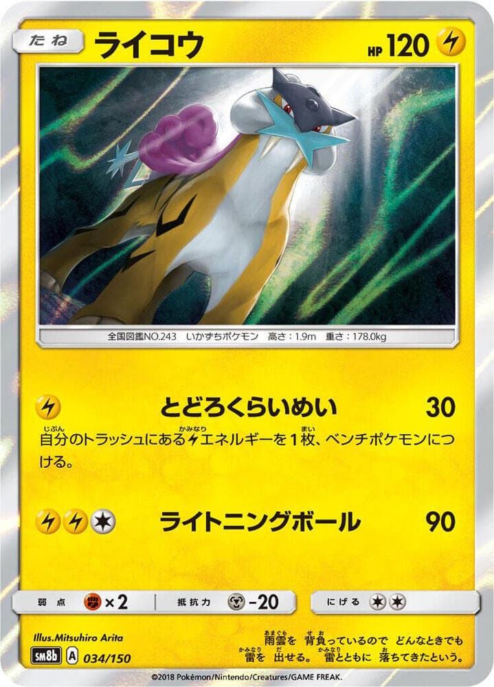 Raikou 034