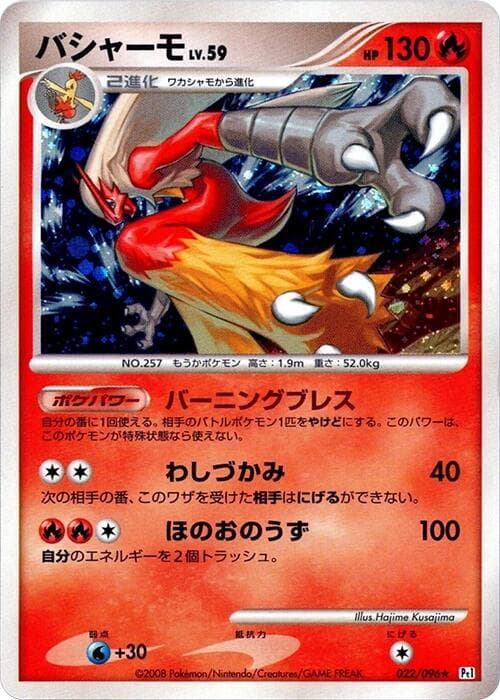 Blaziken 22