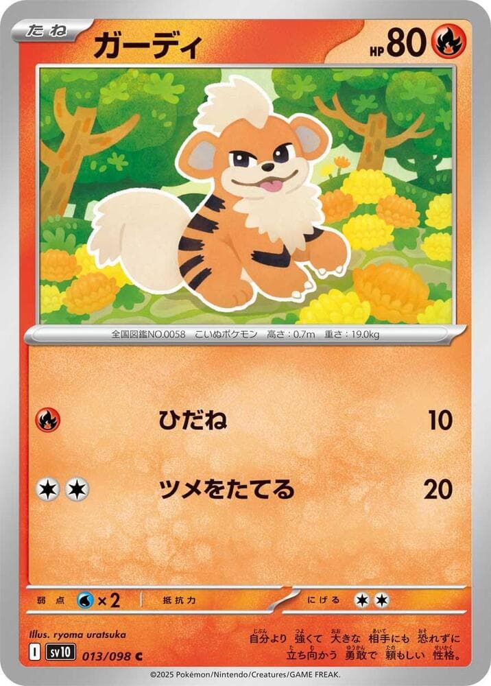 Growlithe 013