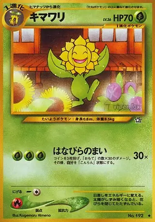 Sunflora 192