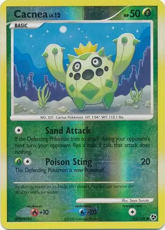 Cacnea Reverse Holo 62