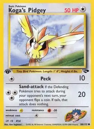 Koga's Pidgey 80