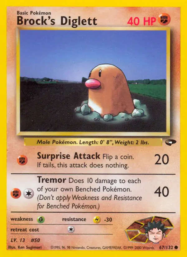 Blaine's Diglett 67 Normal