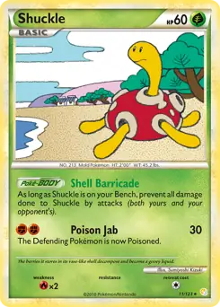 Shuckle 11 Normal