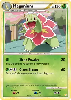 Meganium 26 Normal