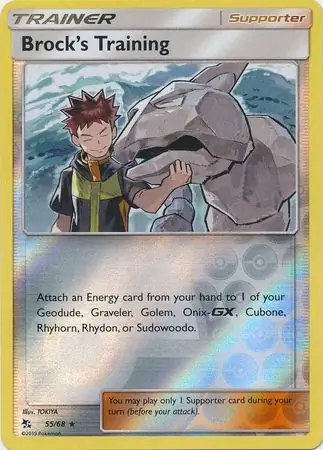 Brock's Training Reverse Holo 55 Normal