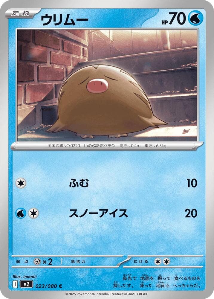 Swinub 023 Normal