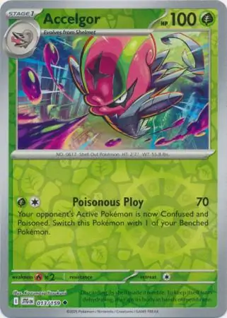 Accelgor Reverse Holo 013 Normal