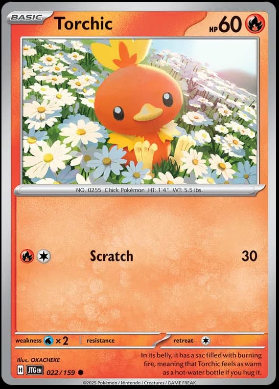 Torchic 022 Normal