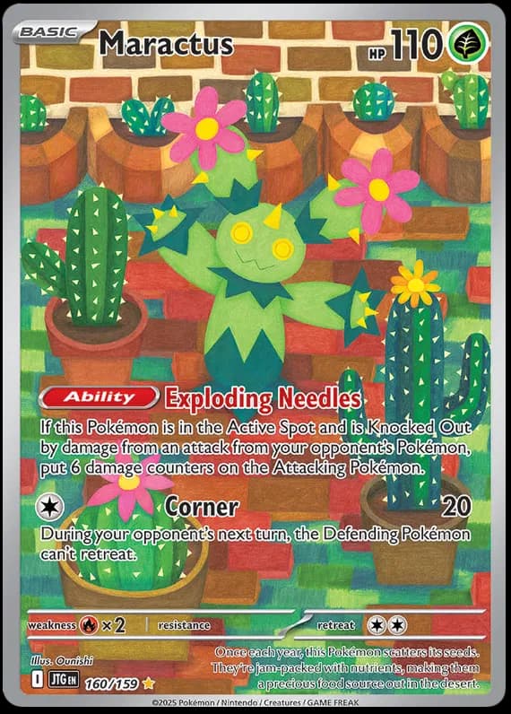 Maractus 160