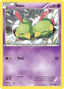 Natu 55 Normal