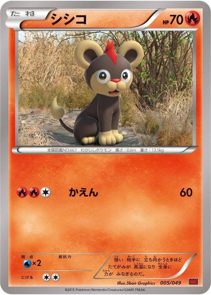 Litleo 005