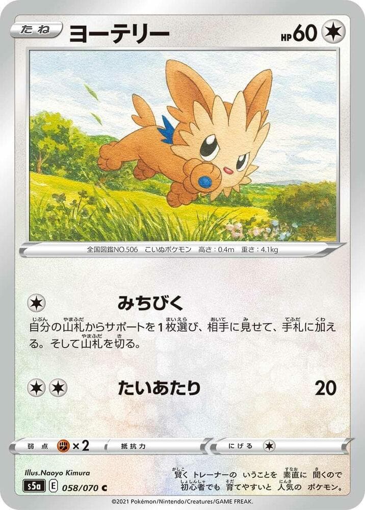 Lillipup 058