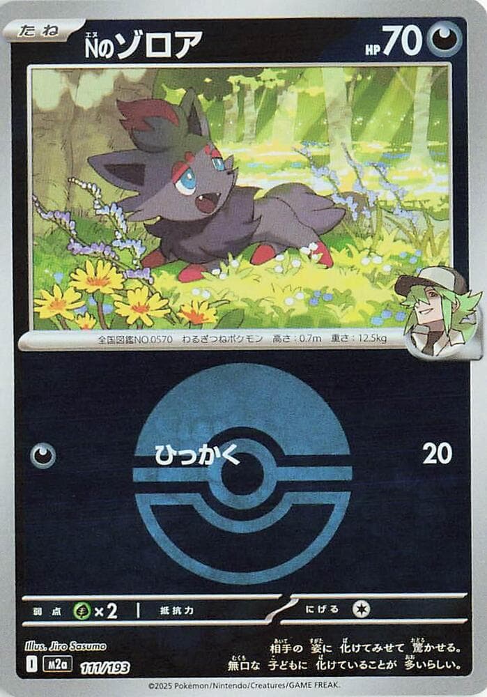 Ns Zorua Poke Ball Pattern 111 Holo