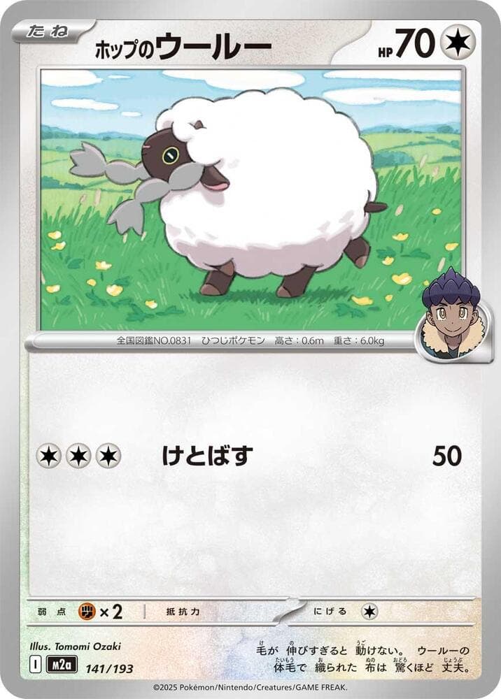 Hop's Wooloo 141 Normal