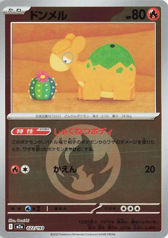 Numel 22