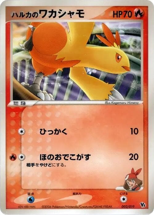May's Combusken 002