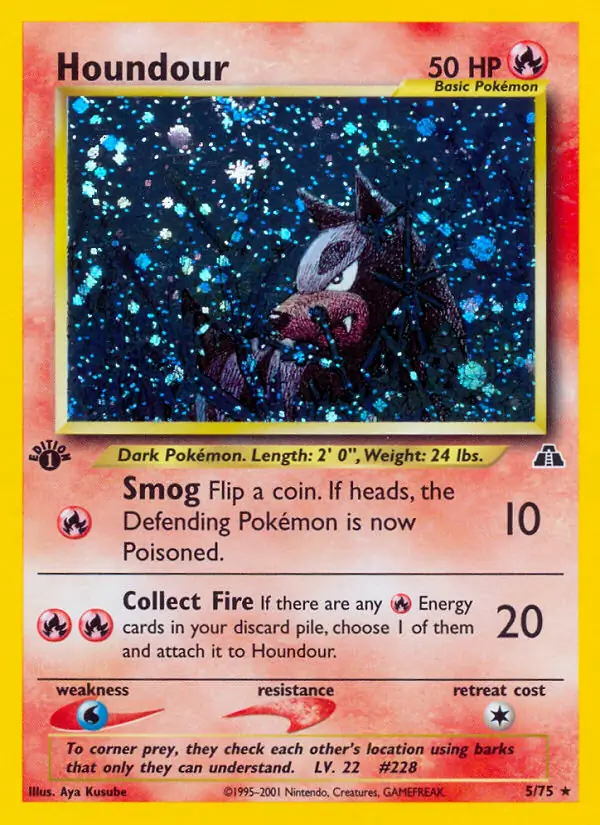Houndour Holo 5