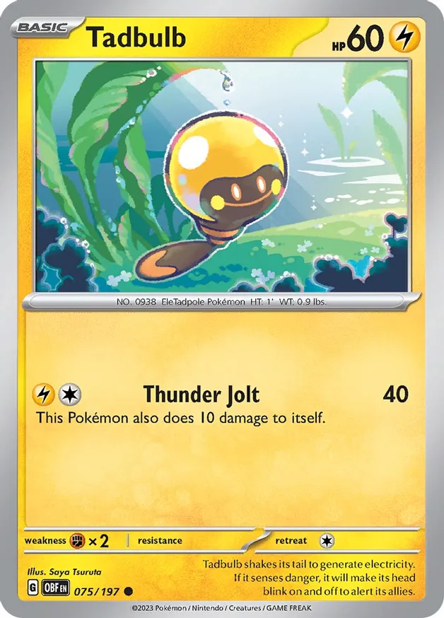 Tadbulb 075