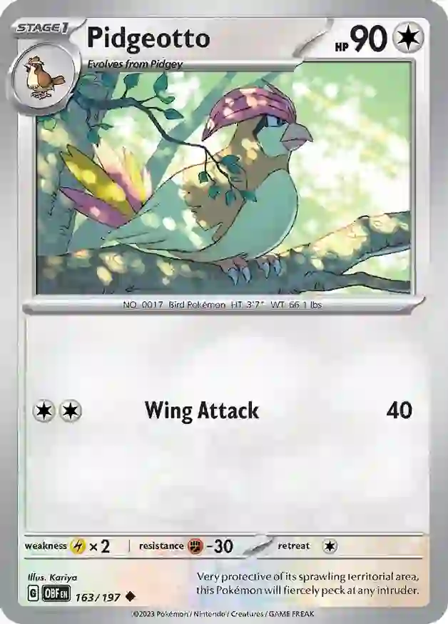 Pidgeotto 163