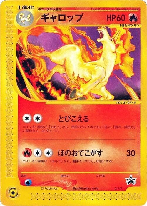 Rapidash 011