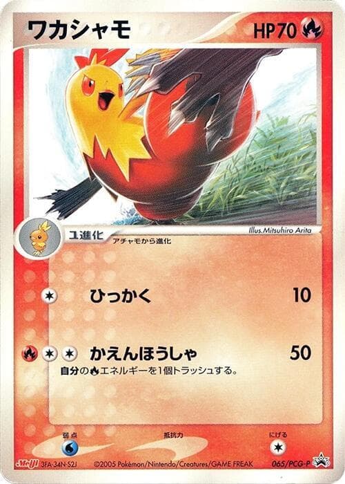Combusken 065 Normal