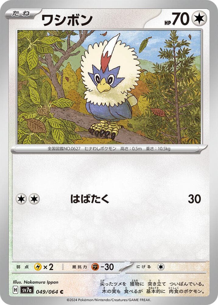 Rufflet 049 Normal
