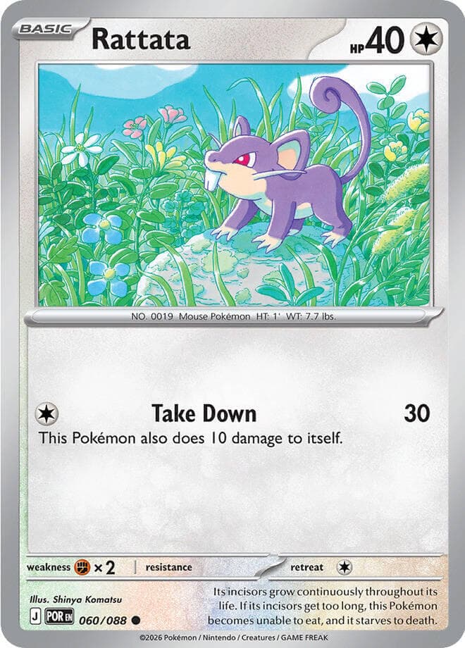 Rattata 060 Normal